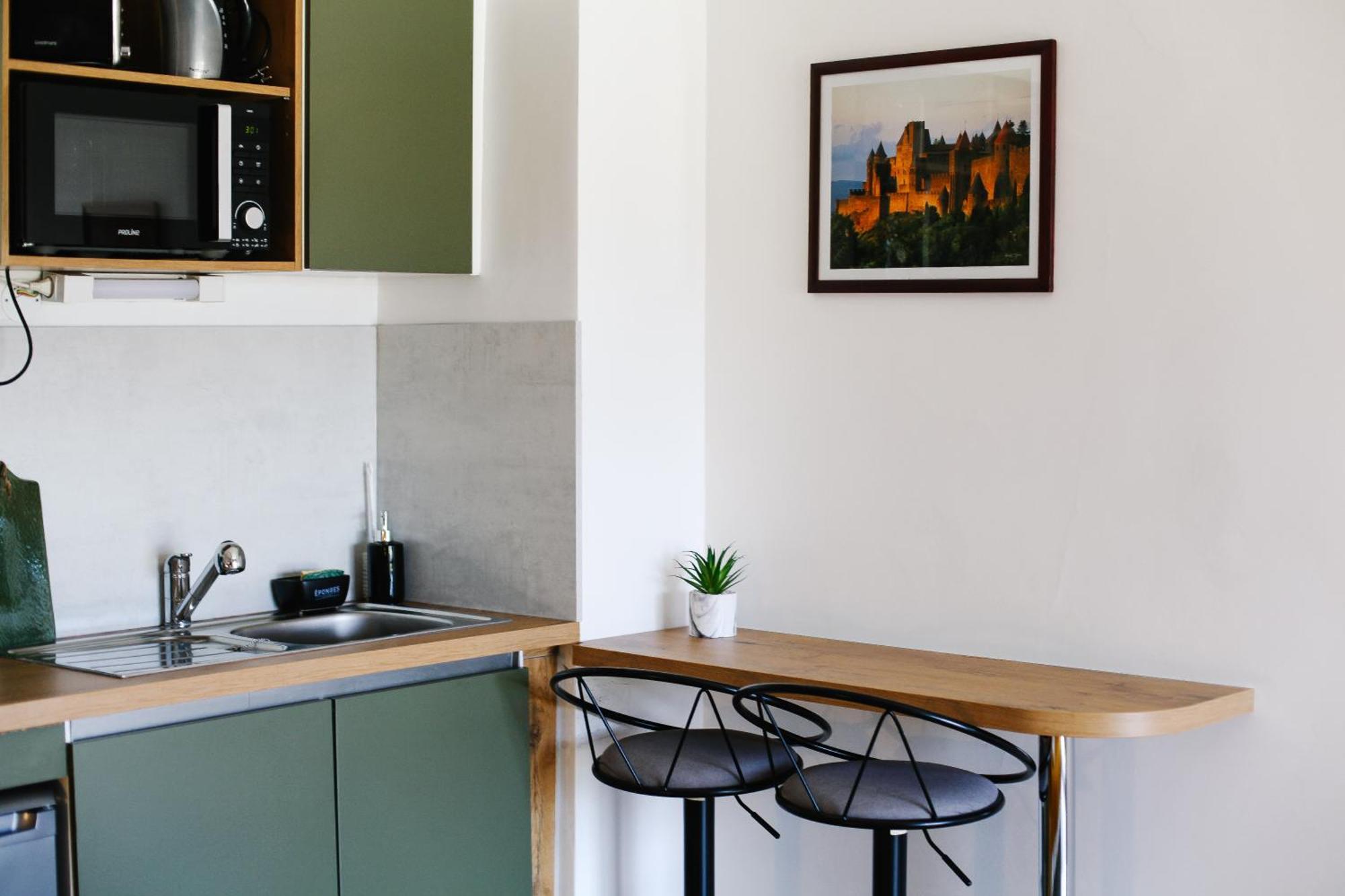 Studio Avec Parking Vue Sur La Cite De Carcassonne Exteriör bild